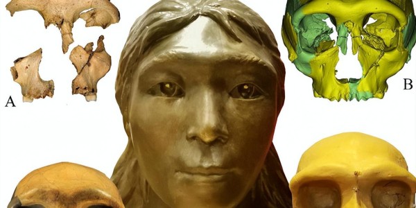 leyu-新的发现必将震惊世界，黄土高原的地底，埋藏着无数的古人类遗迹